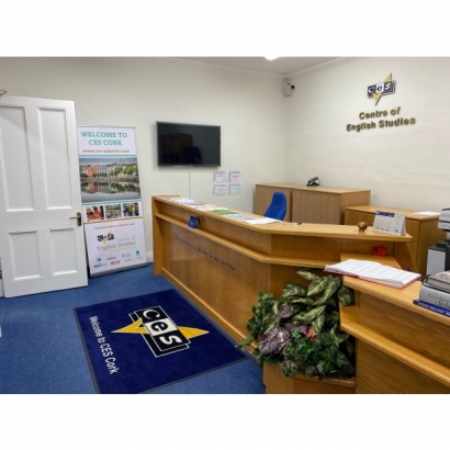 CES Cork Building New painting 2.jpg